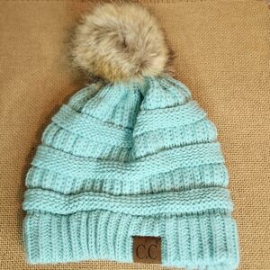C.C. Exclusives Winter Beanie knit hat NWOT blue/green color with brown …